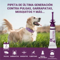 Pipetas 3D Solución Spot-On Para Perros De 1,5-4 Kg -Suministros Para Perros 02 vectra HeroImage 63bd4481d861c