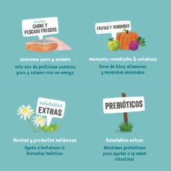 Edgard & Cooper Pack 11 Adult Tarrina Sin Cereales Con Salmón Y Trucha -Suministros Para Perros 03 EdgardCooper ECommContent KeyIngredients AdultSalmonTurkeyWet 150g 62a8222dc815c