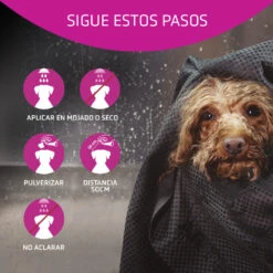 ARTERO Acondicionador Flash -Suministros Para Perros 03 Pasos H634 64ec84f7387bb