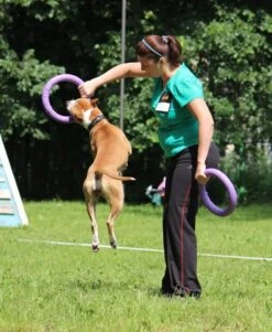 Puller -Suministros Para Perros 10665 Dispositivo adiestramiento perros Puller3 62fe0bde95f6c