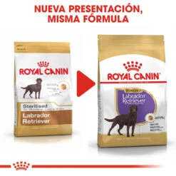ROYAL CANIN Labrador Retriever Adult Sterilised Para Perro Labrador Esterilizado 14 ROYAL CANIN Labrador Retriever Adult Sterilised Para Perro Labrador Esterilizado -Suministros Para Perros 128927 rc bhn labradorsterilised cv eretailkit 4 es es 6