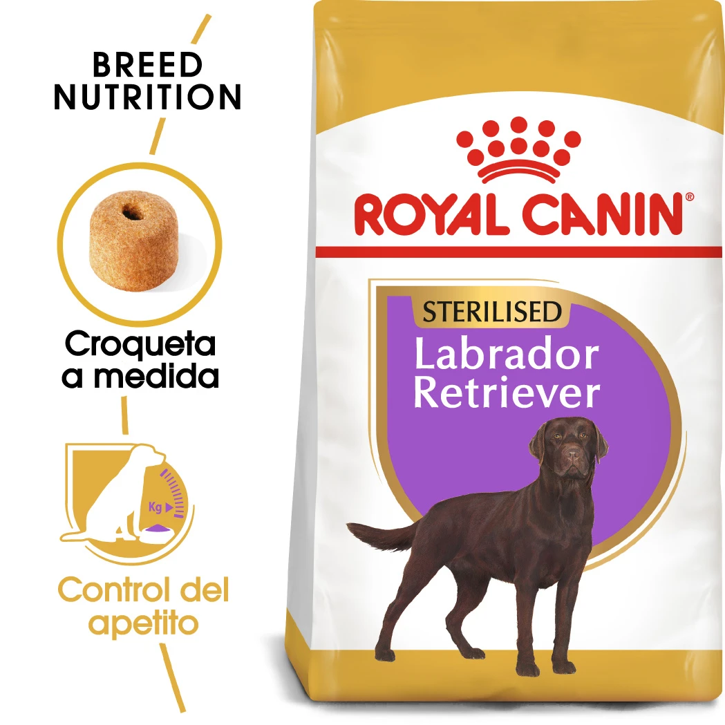 ROYAL CANIN Labrador Retriever Adult Sterilised Para Perro Labrador Esterilizado 2 ROYAL CANIN Labrador Retriever Adult Sterilised Para Perro Labrador Esterilizado - Imagen 2
