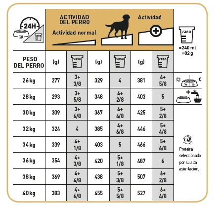 ROYAL CANIN Labrador Retriever Adult Sterilised Para Perro Labrador Esterilizado 9 ROYAL CANIN Labrador Retriever Adult Sterilised Para Perro Labrador Esterilizado - Imagen 9