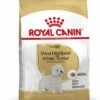ROYAL CANIN West Highland Terrier Adult Pienso Para Perro Adulto Westie