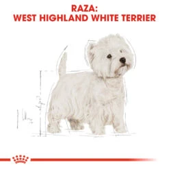 ROYAL CANIN West Highland Terrier Adult Pienso Para Perro Adulto Westie 13 ROYAL CANIN West Highland Terrier Adult Pienso Para Perro Adulto Westie -Suministros Para Perros 153 rc bhn westie cv eretailkit 1 es es 4