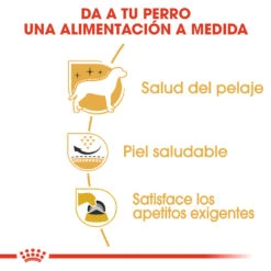 ROYAL CANIN West Highland Terrier Adult Pienso Para Perro Adulto Westie 11 ROYAL CANIN West Highland Terrier Adult Pienso Para Perro Adulto Westie -Suministros Para Perros 153 rc bhn westie cv eretailkit 3 es es 2