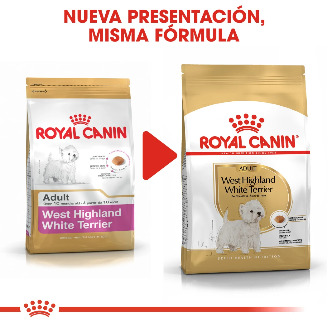ROYAL CANIN West Highland Terrier Adult Pienso Para Perro Adulto Westie 6 ROYAL CANIN West Highland Terrier Adult Pienso Para Perro Adulto Westie - Imagen 6