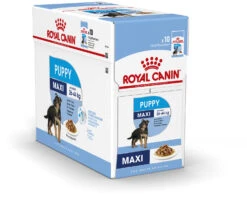 ROYAL CANIN Pack 10 Maxi Puppy -Suministros Para Perros 160997 shn18 maxi puppy n box c 2
