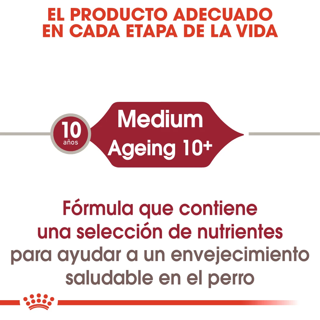 ROYAL CANIN Pack 10 Medium Ageing 3 ROYAL CANIN Pack 10 Medium Ageing - Imagen 3