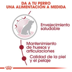 ROYAL CANIN Pack 10 Medium Ageing 13 ROYAL CANIN Pack 10 Medium Ageing -Suministros Para Perros 161958 4 3