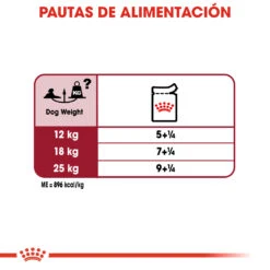 ROYAL CANIN Pack 10 Medium Ageing 16 ROYAL CANIN Pack 10 Medium Ageing -Suministros Para Perros 161958 7 6