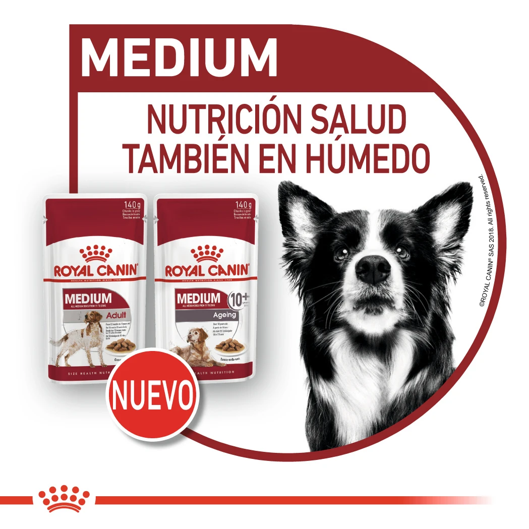ROYAL CANIN Pack 10 Medium Ageing 9 ROYAL CANIN Pack 10 Medium Ageing - Imagen 9