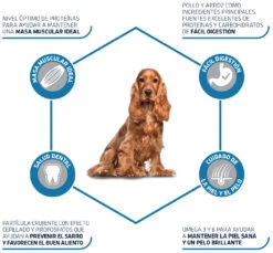 Advance Dog Medium Adult Arroz Y Pollo 9 Advance Dog Medium Adult Arroz Y Pollo -Suministros Para Perros 179123 3 3 3