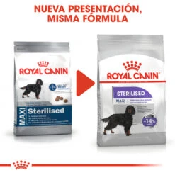ROYAL CANIN Maxi Sterilised Pienso Para Perro Adulto Esterilizado Tamaño Grande -Suministros Para Perros 180276 rc ccn sterilisedmaxi cv eretailkit 1 es es 7