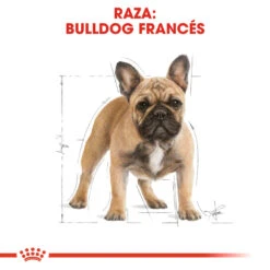 ROYAL CANIN French Bulldog Adult Pienso Para Perro Adulto Bulldog Francés -Suministros Para Perros 181 rc bhn frenchbulldog cv eretailkit 1 es es 5