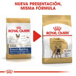 ROYAL CANIN French Bulldog Adult Pienso Para Perro Adulto Bulldog Francés -Suministros Para Perros 181 rc bhn frenchbulldog cv eretailkit 4 es es 6