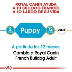 ROYAL CANIN French Bulldog Puppy Pienso Para Cachorro Bulldog Francés 12 ROYAL CANIN French Bulldog Puppy Pienso Para Cachorro Bulldog Francés -Suministros Para Perros 183 rc bhn puppyfrenchbulldog cm eretailkit 1 es es 5
