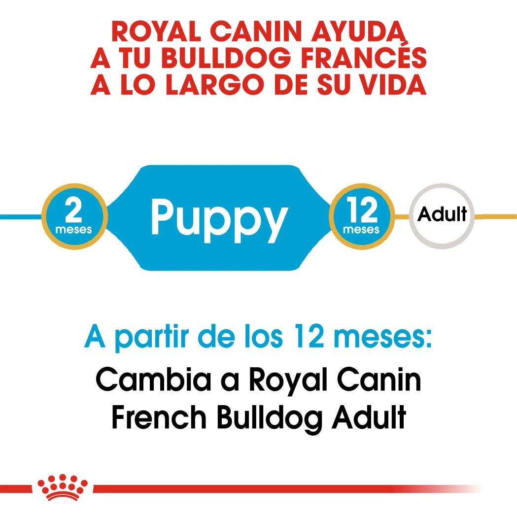ROYAL CANIN French Bulldog Puppy Pienso Para Cachorro Bulldog Francés 4 ROYAL CANIN French Bulldog Puppy Pienso Para Cachorro Bulldog Francés - Imagen 4