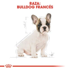 ROYAL CANIN French Bulldog Puppy Pienso Para Cachorro Bulldog Francés 13 ROYAL CANIN French Bulldog Puppy Pienso Para Cachorro Bulldog Francés -Suministros Para Perros 183 rc bhn puppyfrenchbulldog cm eretailkit 4 es es 6