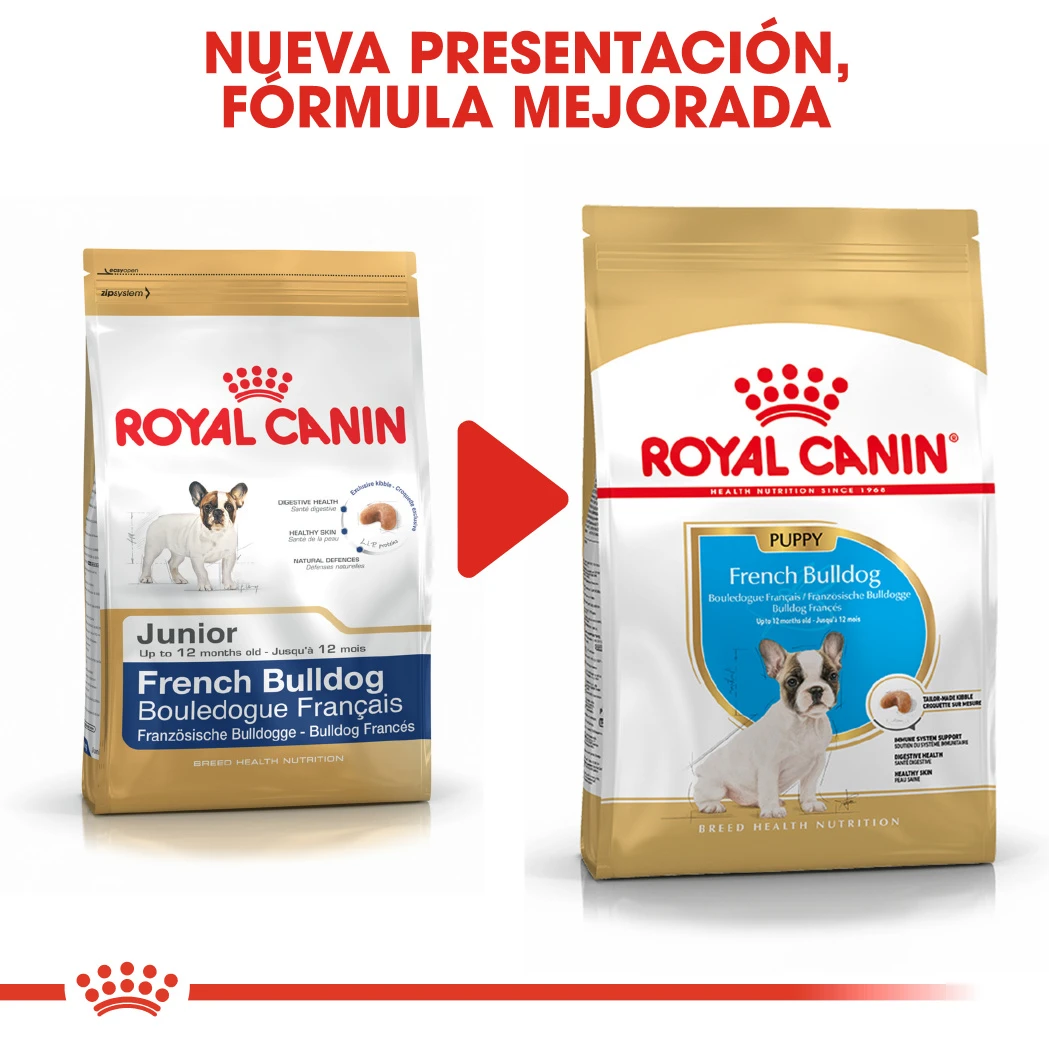 ROYAL CANIN French Bulldog Puppy Pienso Para Cachorro Bulldog Francés 6 ROYAL CANIN French Bulldog Puppy Pienso Para Cachorro Bulldog Francés - Imagen 6