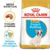 ROYAL CANIN French Bulldog Puppy Pienso Para Cachorro Bulldog Francés