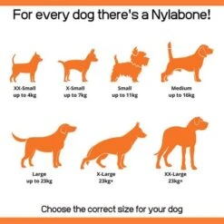 Nylabone Extreme Chew Barbell L -Suministros Para Perros 186512 interpet nylabone welpen dental kauknochen 1stck hs 05 4 6477657980d61