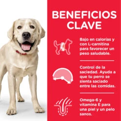 Hill's Science Plan Adult Light Large Pollo -Suministros Para Perros 188684 52742025902 4 4 4