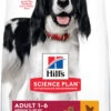 Hill's Science Plan Adult Medium Pollo
