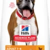 Hill's Science Plan Adult Light Medium Pollo