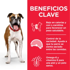 Hill's Science Plan Adult Light Medium Pollo -Suministros Para Perros 188705 52742025339 4 4