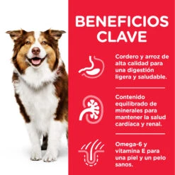 Hill's Science Plan Senior +7 Medium Cordero Y Arroz -Suministros Para Perros 188708 52742025278 5 4