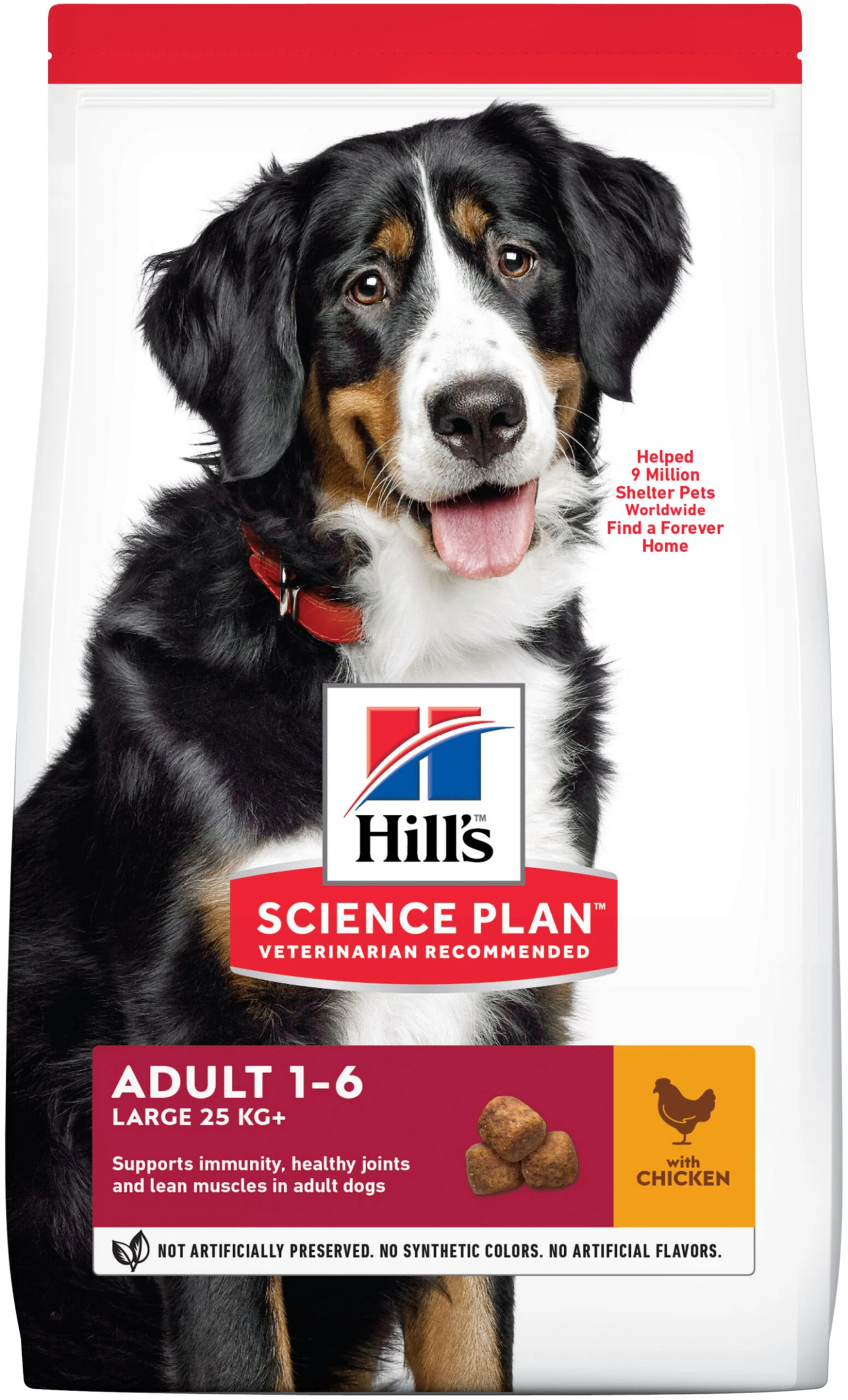 Hill's Science Plan Adult Large Pollo 1 Hill's Science Plan Adult Large Pollo