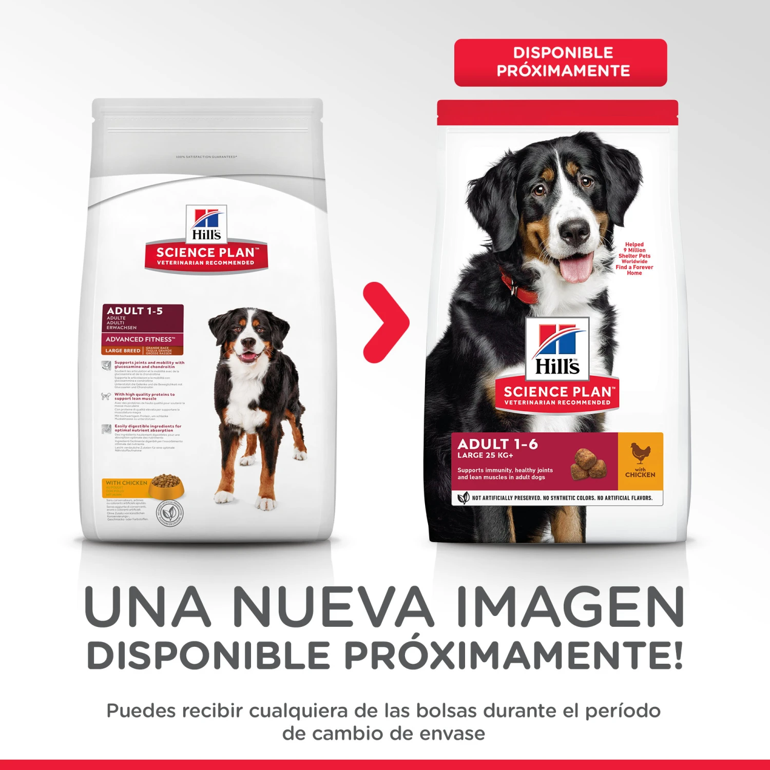 Hill's Science Plan Adult Large Pollo 2 Hill's Science Plan Adult Large Pollo - Imagen 2