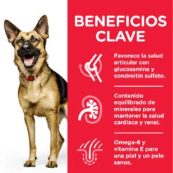 Hill's Science Plan Senior +6 Large Pollo 9 Hill's Science Plan Senior +6 Large Pollo -Suministros Para Perros 188711 52742025926 5 4