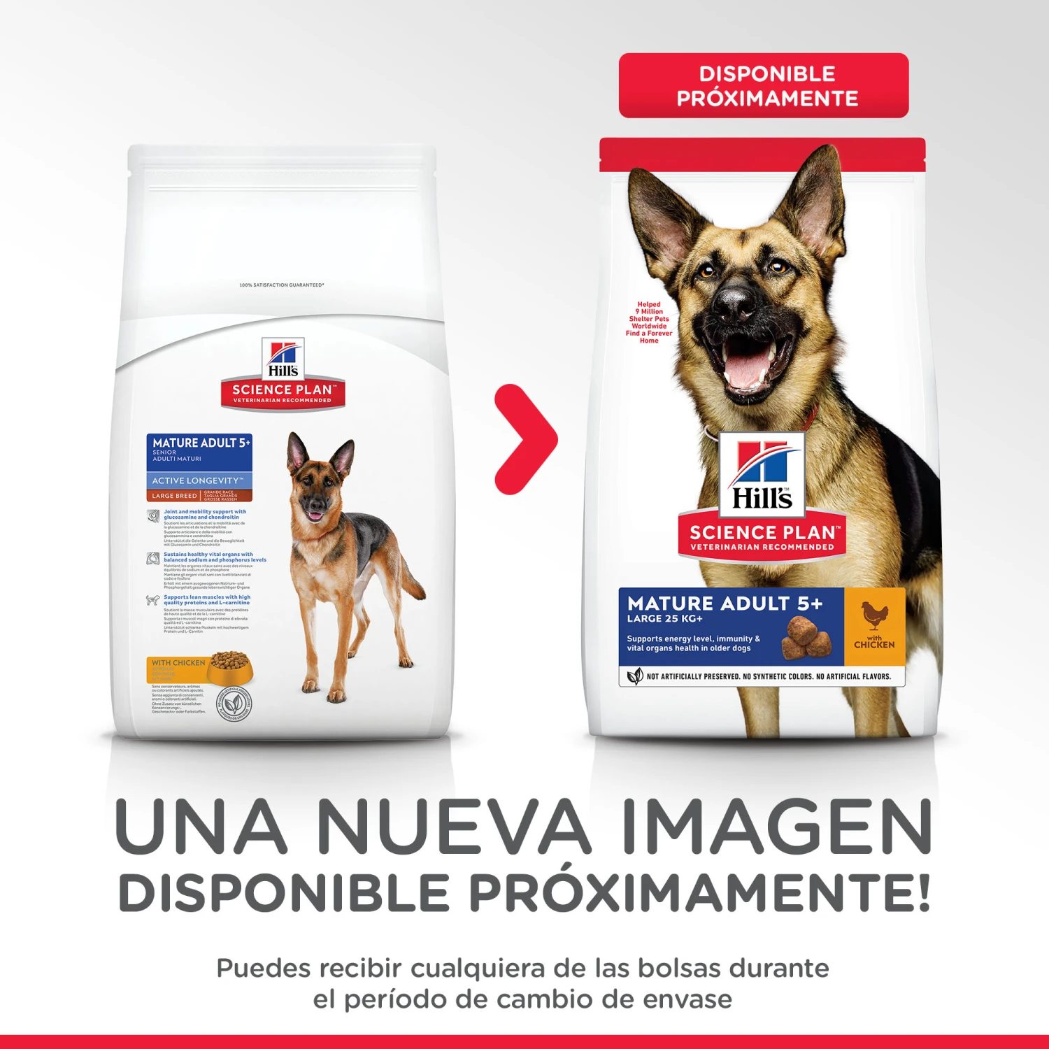 Hill's Science Plan Senior +6 Large Pollo 2 Hill's Science Plan Senior +6 Large Pollo - Imagen 2