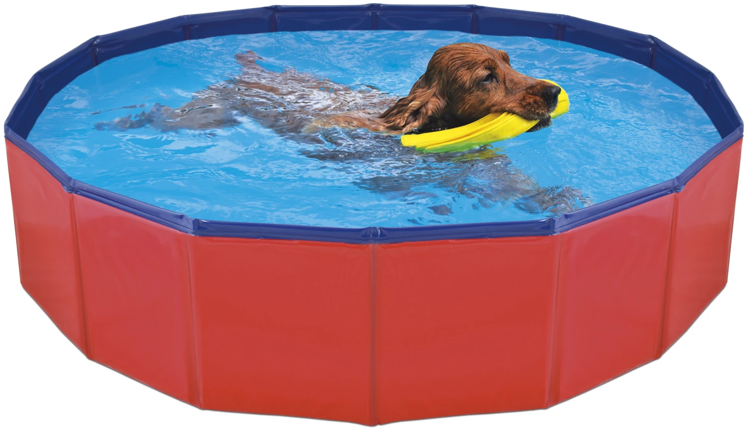 Nayeco Piscina Para Perros 1 Nayeco Piscina Para Perros
