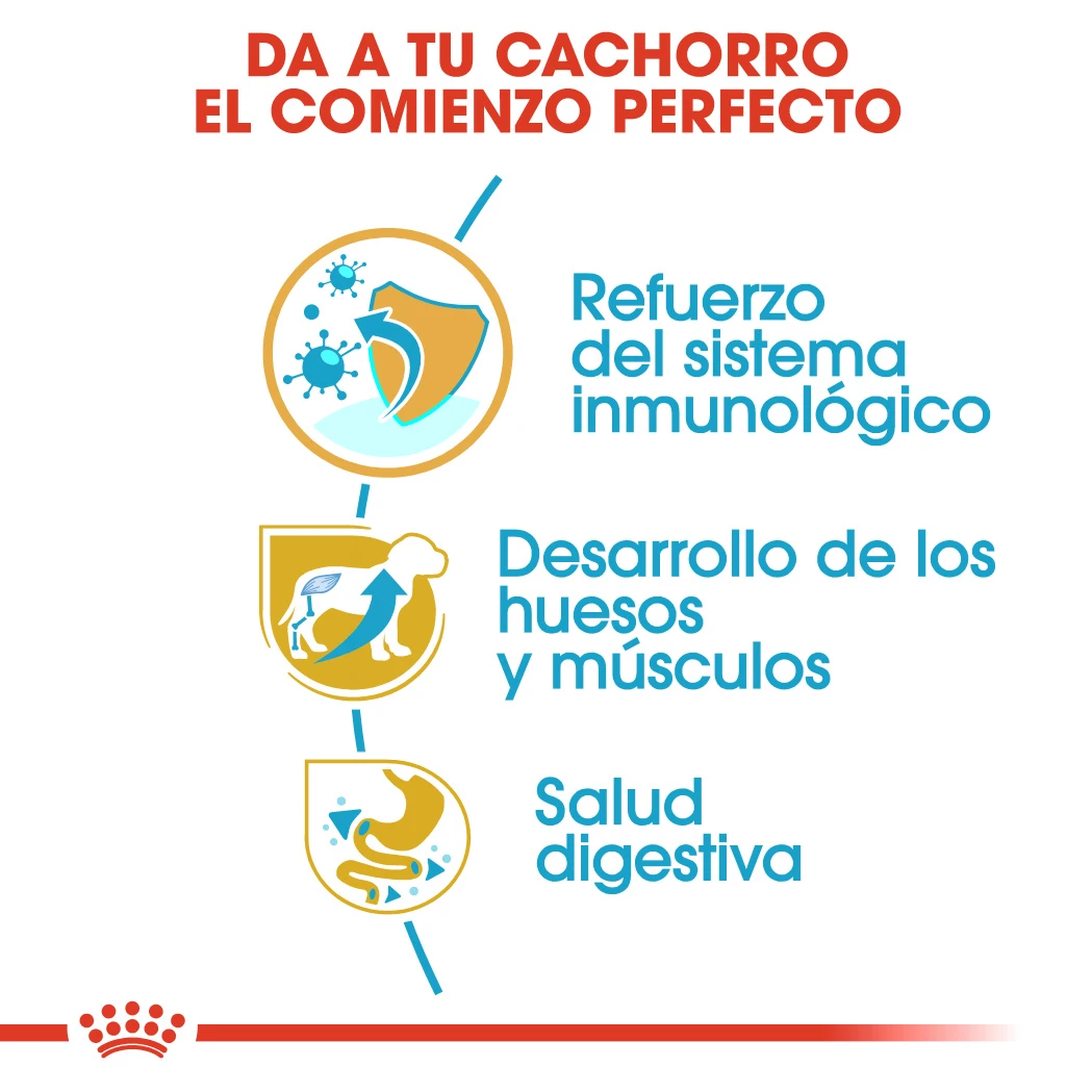 ROYAL CANIN Rottweiler Puppy Pienso Para Cachorro De Raza 3 ROYAL CANIN Rottweiler Puppy Pienso Para Cachorro De Raza - Imagen 3