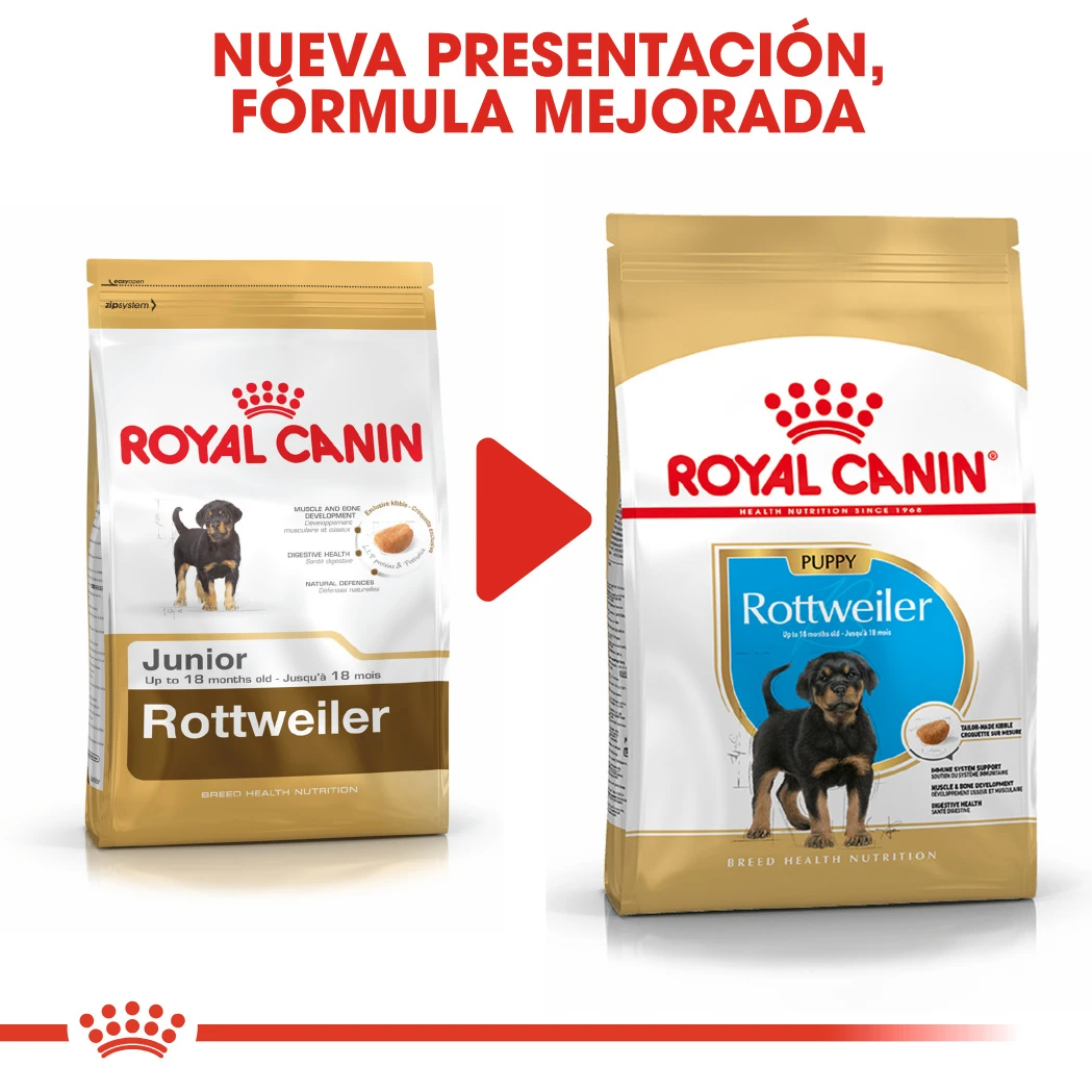 ROYAL CANIN Rottweiler Puppy Pienso Para Cachorro De Raza 7 ROYAL CANIN Rottweiler Puppy Pienso Para Cachorro De Raza - Imagen 7