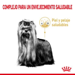 ROYAL CANIN Yorkshire Terrier Ageing 8+ Para Perro De Edad Avanzada De Raza 9 ROYAL CANIN Yorkshire Terrier Ageing 8+ Para Perro De Edad Avanzada De Raza -Suministros Para Perros 191455 rc spt dry york8 cv 1 es es 2