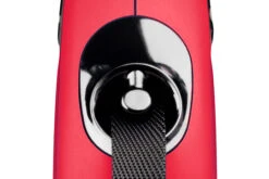 FLEXI Correa Mini Compact De 3 Metros -Suministros Para Perros 2020New Classic Gurtauslauf M 540x360 6504442206c85