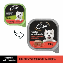 Pack 20 Comida Húmeda Para Perros Tarrina Sabor Buey Y Verduras -Suministros Para Perros 205713 2