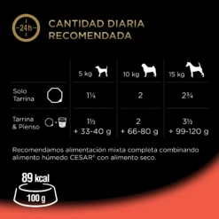 Pack 20 Comida Húmeda Para Perros Tarrina Sabor Buey Y Verduras -Suministros Para Perros 205713 4