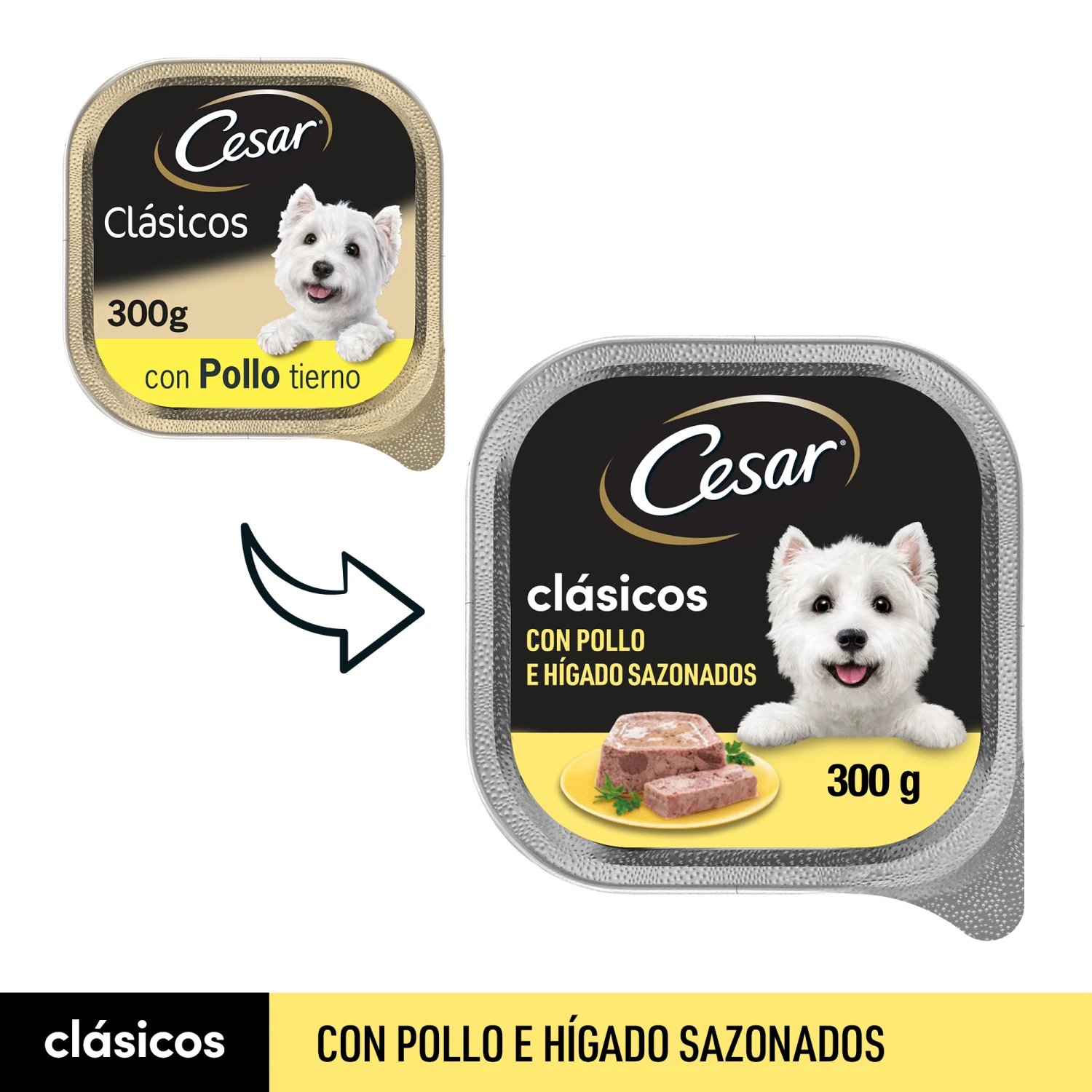Pack 20 Comida Húmeda Para Perros Tarrina Sabor Pollo E Hígado 3 Pack 20 Comida Húmeda Para Perros Tarrina Sabor Pollo E Hígado - Imagen 3