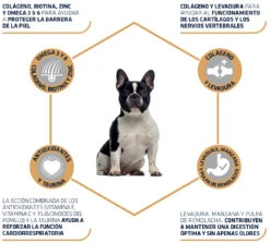 Advance Canine Bulldog Francés 9 Advance Canine Bulldog Francés -Suministros Para Perros 21826 3 3
