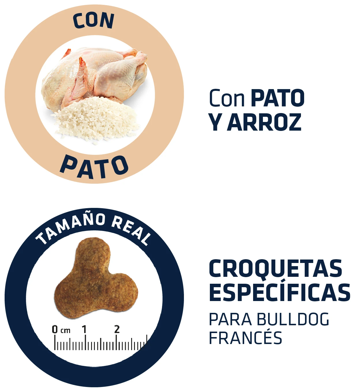 Advance Canine Bulldog Francés 4 Advance Canine Bulldog Francés - Imagen 4