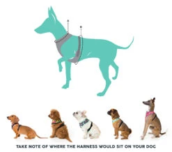 Fuzzyard Arnes Go Nuts 9 Fuzzyard Arnes Go Nuts -Suministros Para Perros 248177 sizechart harnesses 1 0 10 622b1452e65df