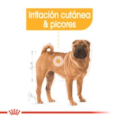 ROYAL CANIN Medium Dermacomfort Care Pienso Perro Adulto Mediano Piel Sensible -Suministros Para Perros 265 3 2