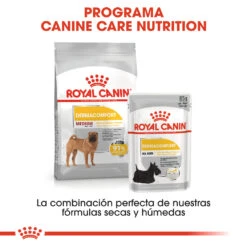 ROYAL CANIN Medium Dermacomfort Care Pienso Perro Adulto Mediano Piel Sensible -Suministros Para Perros 265 6 5