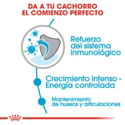 ROYAL CANIN Giant Puppy Pienso Para Cachorros De Razas Tamaño Gigante -Suministros Para Perros 27 rc shn puppy giant cv2 dog 009 spain spanish 3