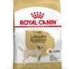 ROYAL CANIN Labrador Retriever Adult Pienso Para Perro Adulto De Raza